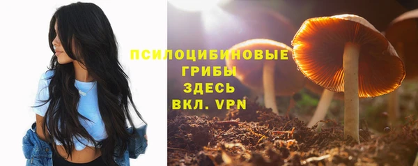 шишки Липки