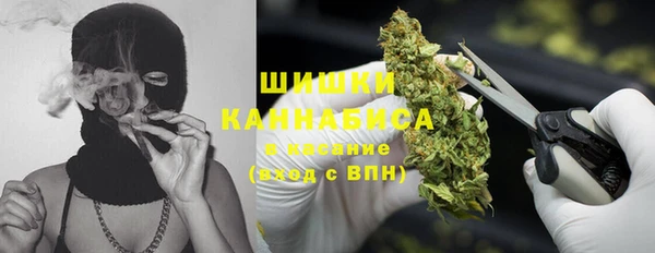шишки Липки
