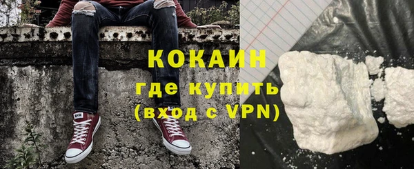 крисы Лагань