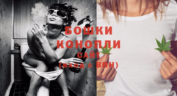 шишки Липки