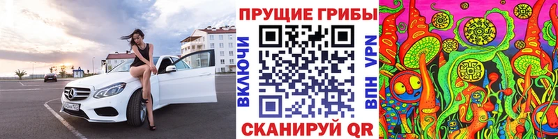 Псилоцибиновые грибы GOLDEN TEACHER  Купить  Лебедянь 